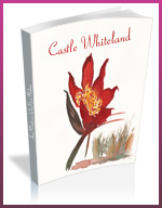 Castle Whiteland