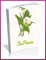 Tía Petunia